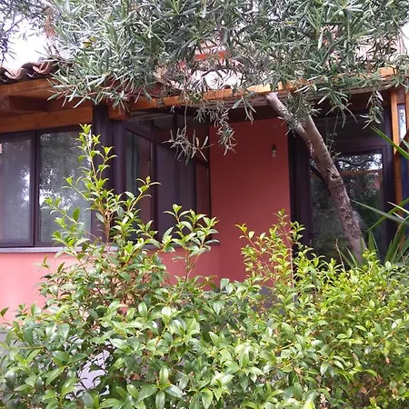 펜션 Cuntarati Nature Tourism - Simeto Etna 브론테