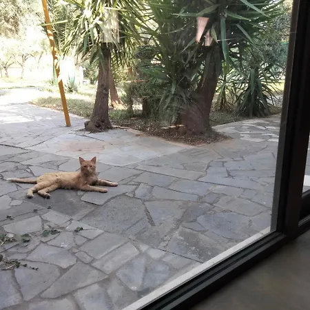 Cuntarati Nature Tourism - Simeto Etna * 브론테