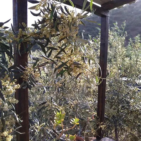 Cuntarati Nature Tourism - Simeto Etna 펜션 브론테